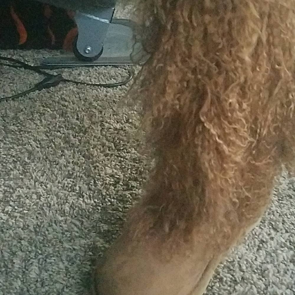 Chestnut boots BRAND NEW